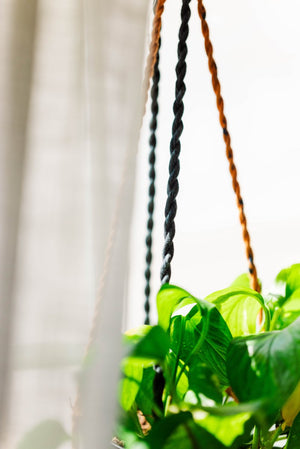 WS Saree Plant Hanger - Asha Project Kantha - Saree - Handmade