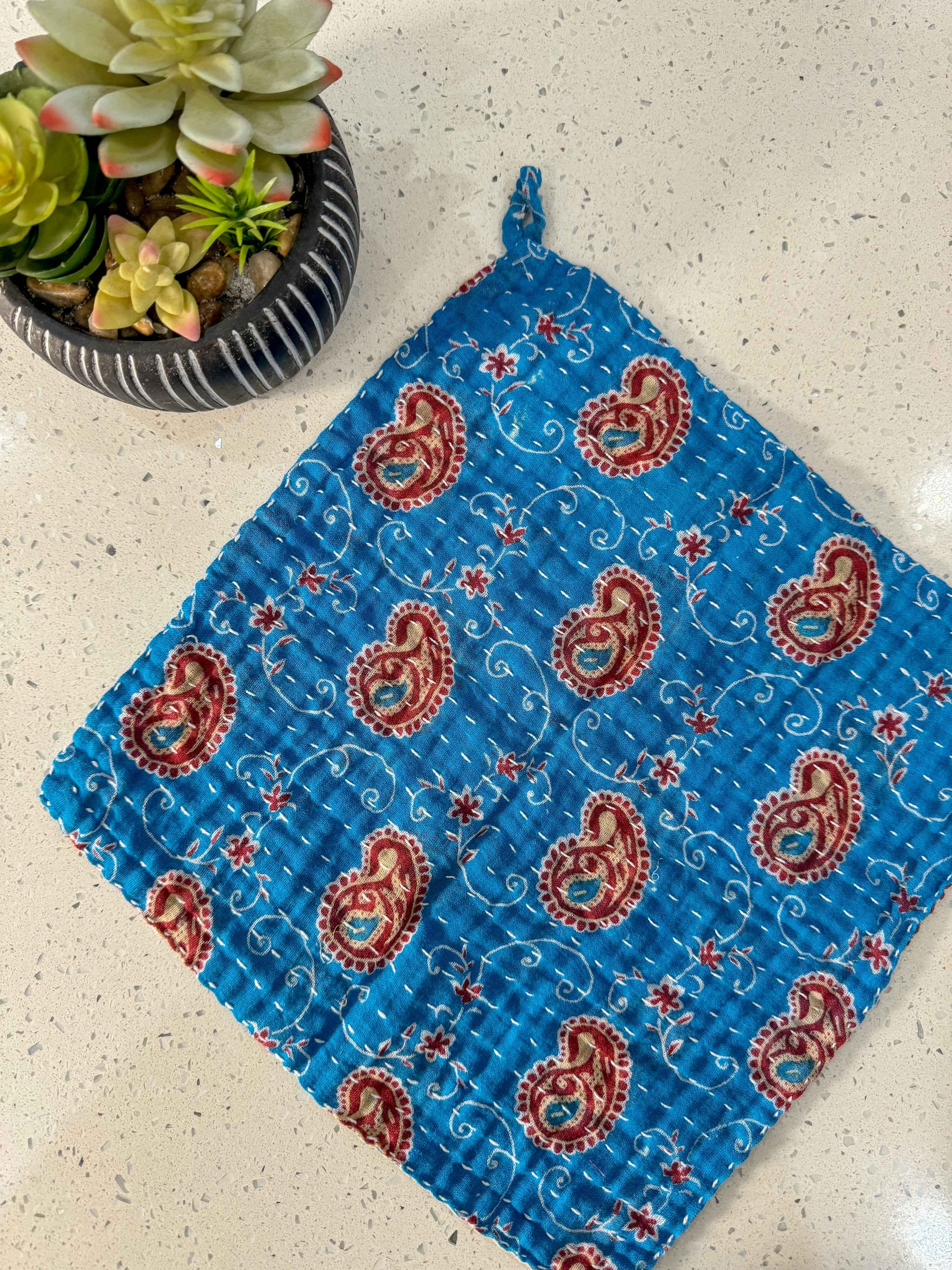 a potted plant sitting on top of a table next to a blue bandana