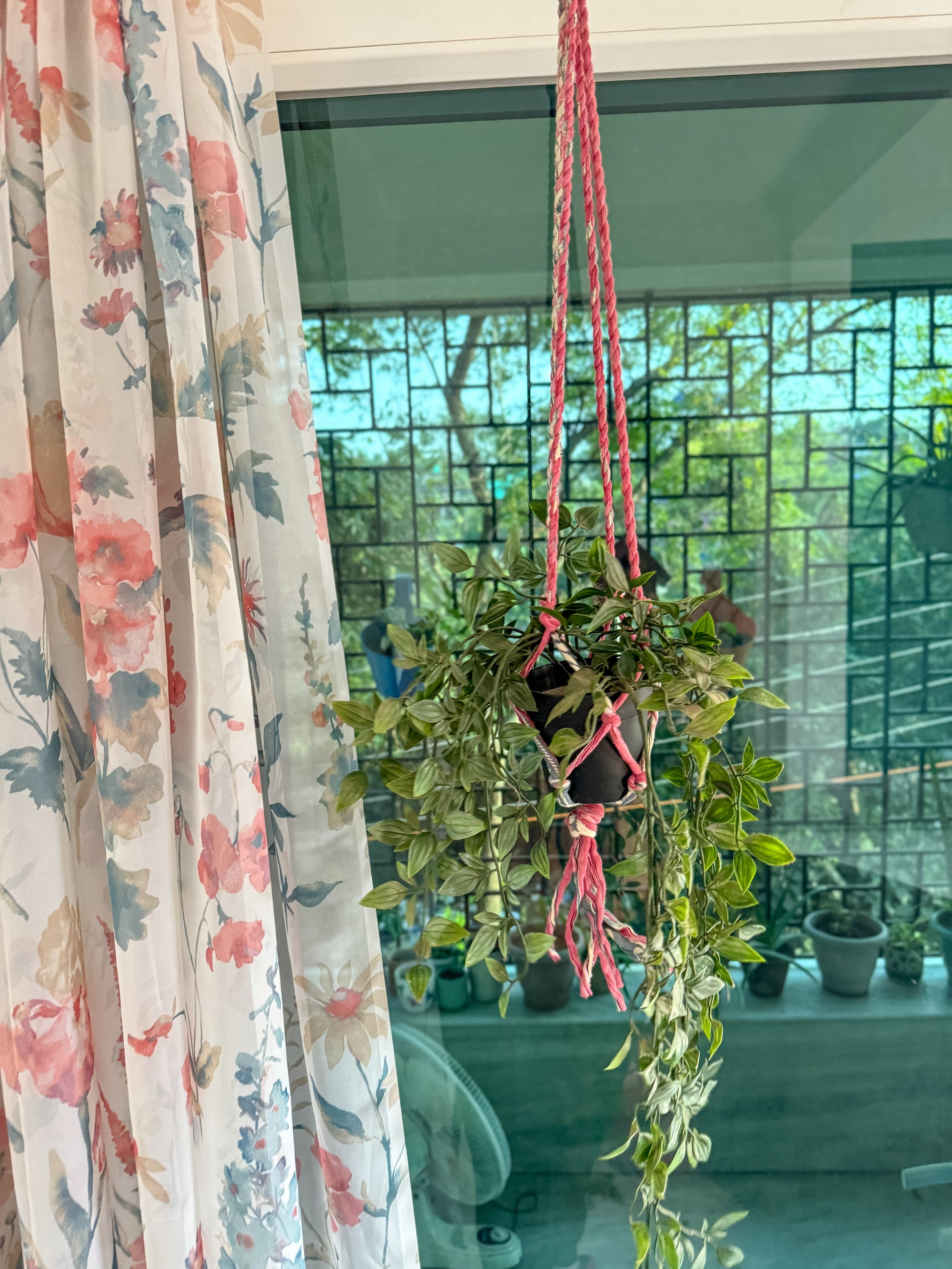 a potted plant hanging from a window sill