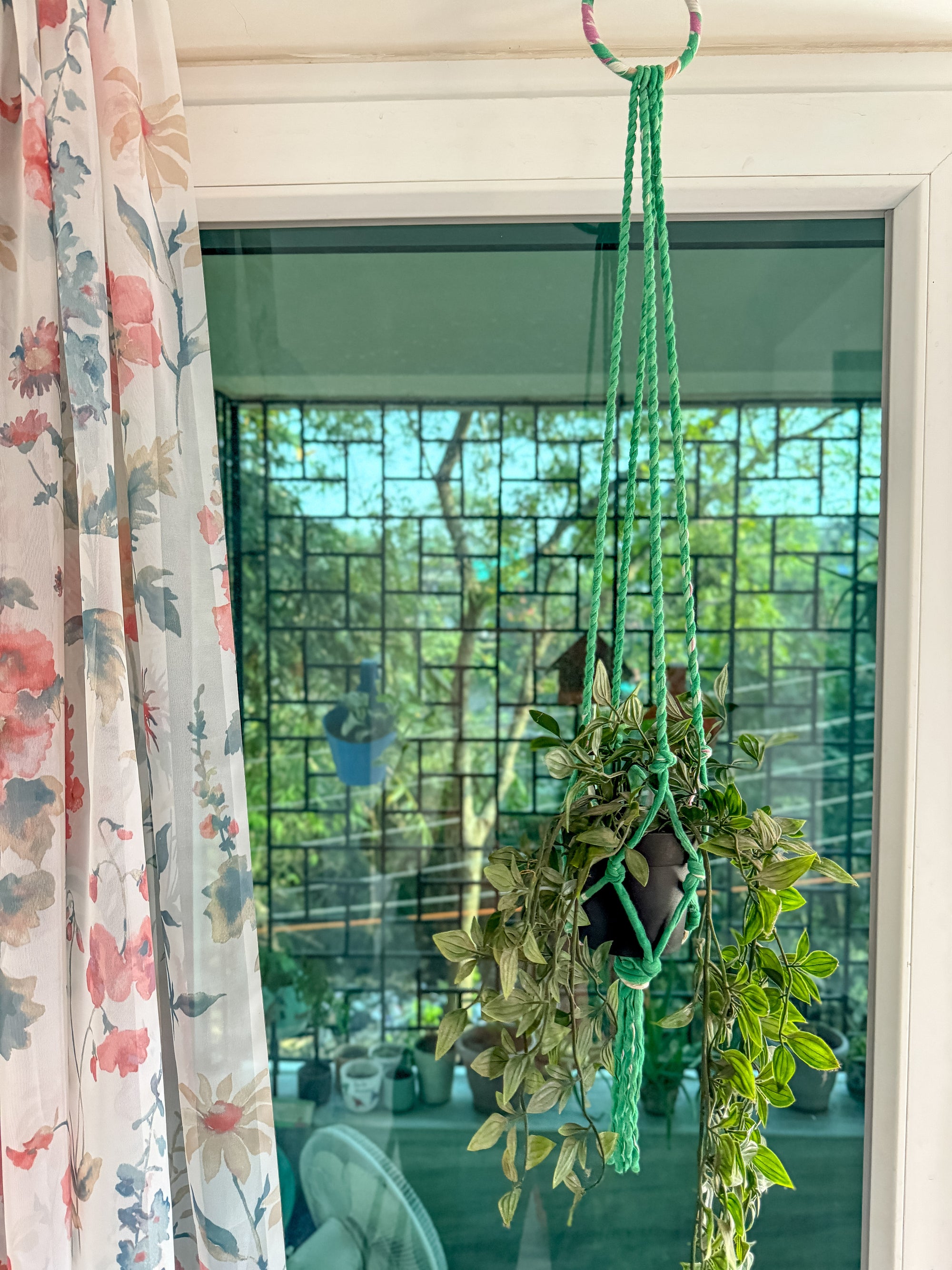 a potted plant hanging from a window sill