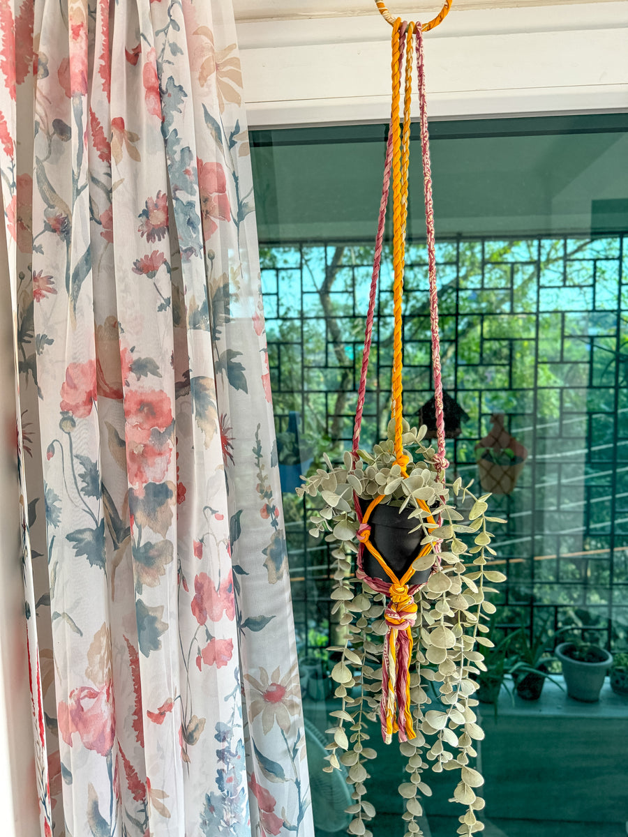 Saree Plant Hanger