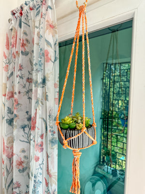 a hanging planter filled with succulents in front of a window