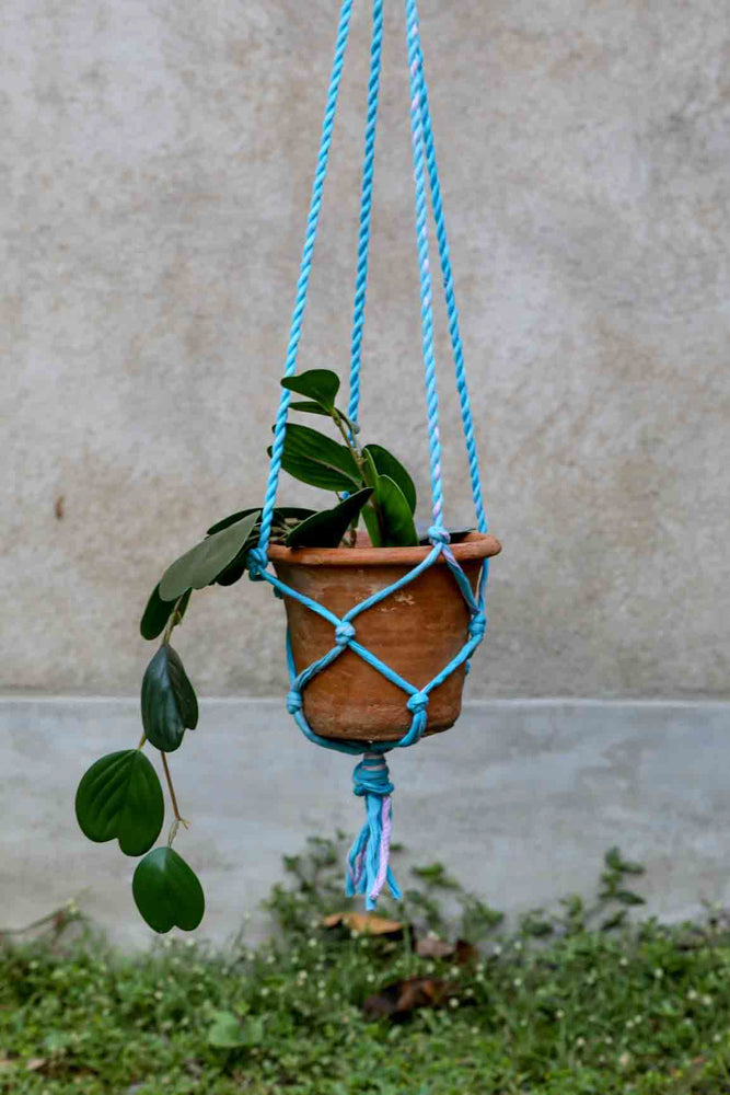 Saree Plant Hanger