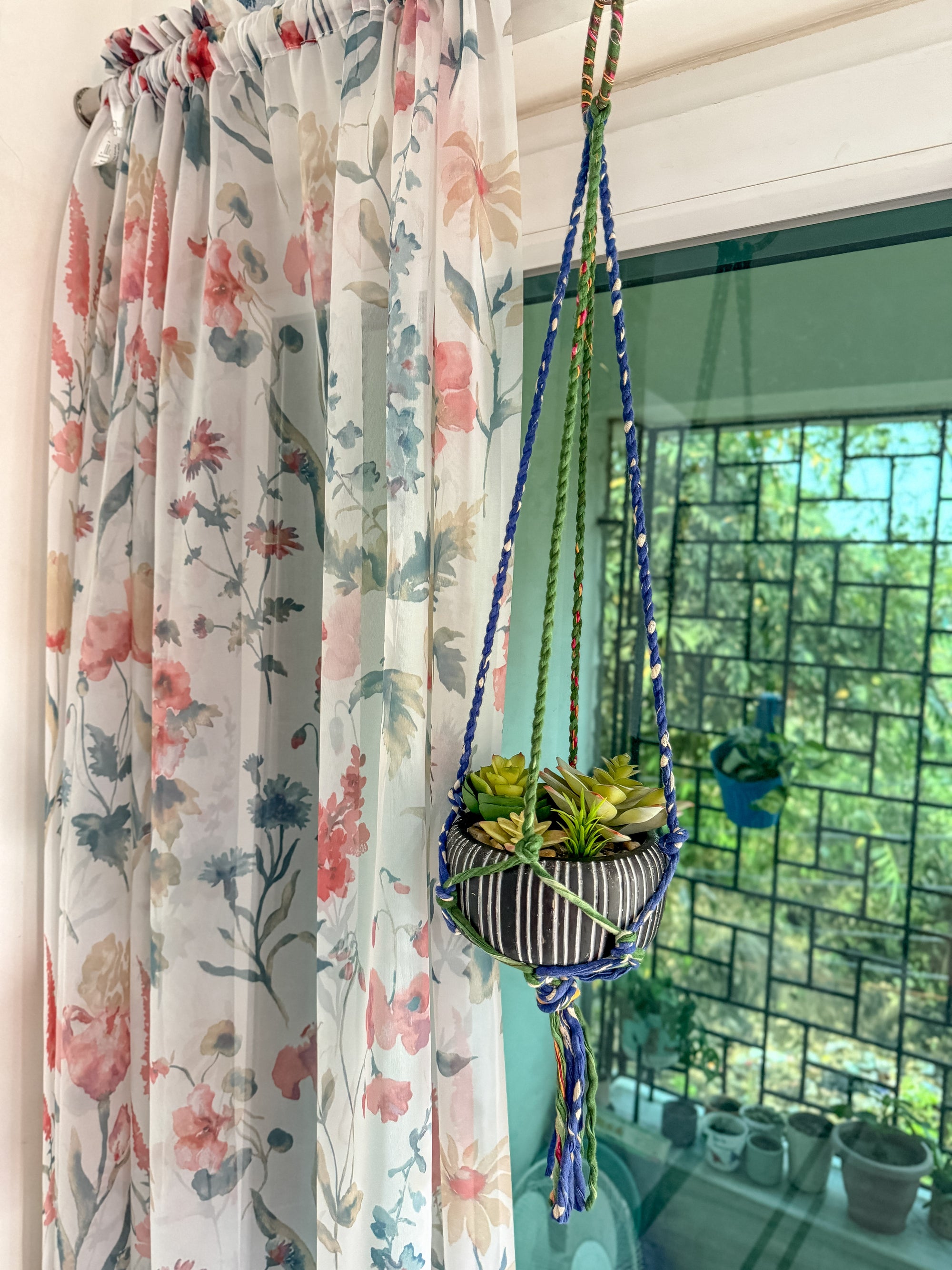 a hanging planter filled with succulents in front of a window