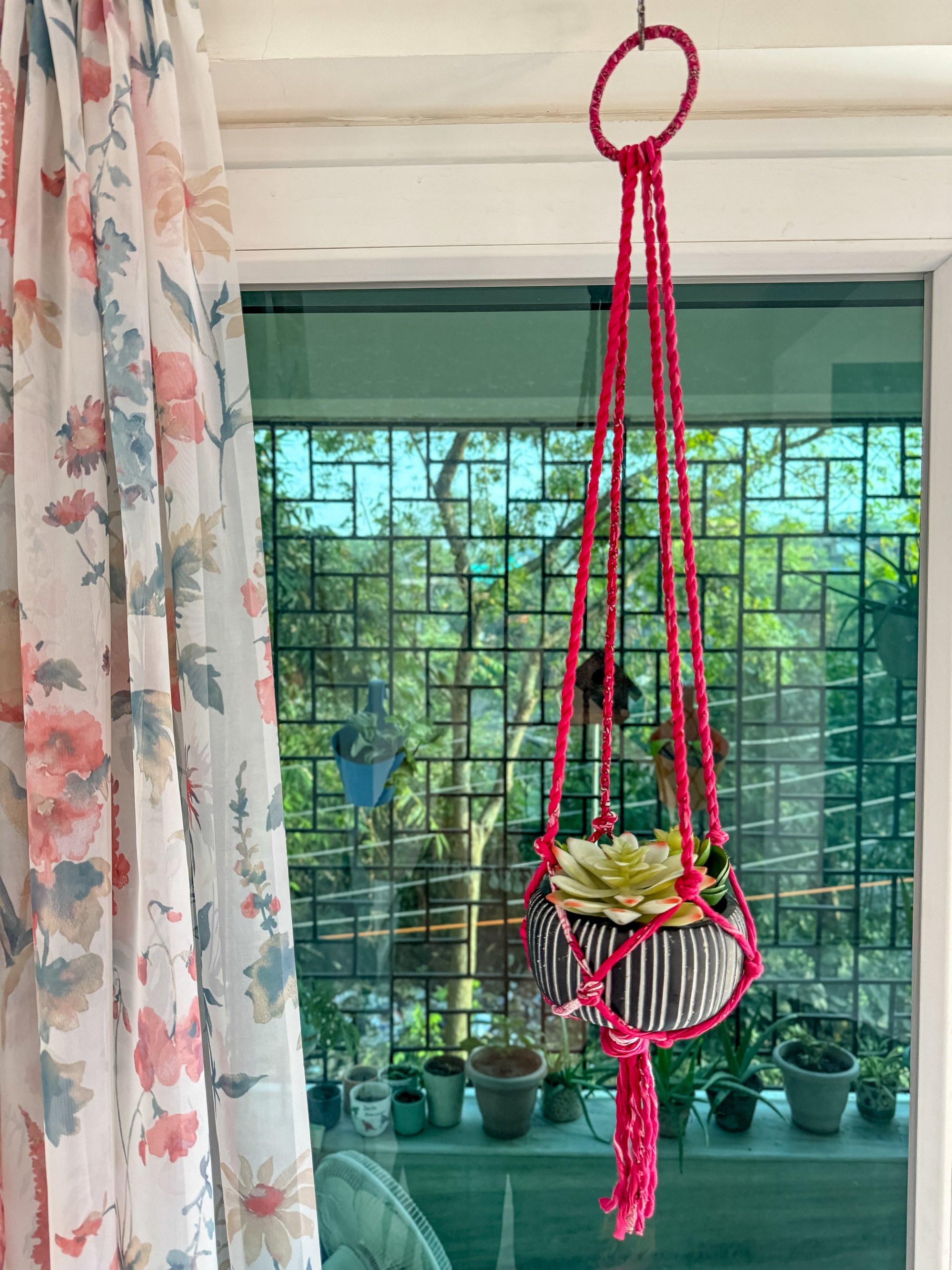 a potted plant hanging from a window sill