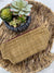 a small potted plant sitting on top of a wicker table