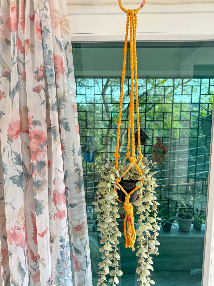 Saree Plant Hanger