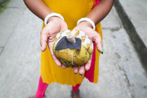 WS Saree Pumpkin | Medium - Asha Project Kantha - Saree - Handmade